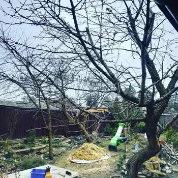 Процес дроблення гілок на тріскку