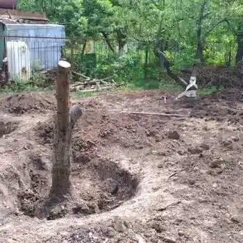 корчевка пня вручную