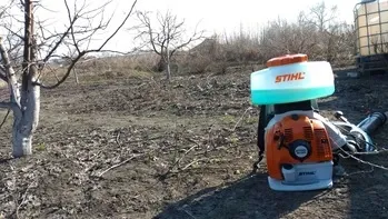 обробка плодових дерев та кущів від хвороб та шкідників